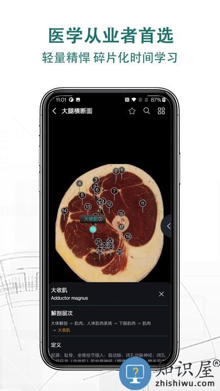 掌上3d解剖app下载v2.7.0 安卓版