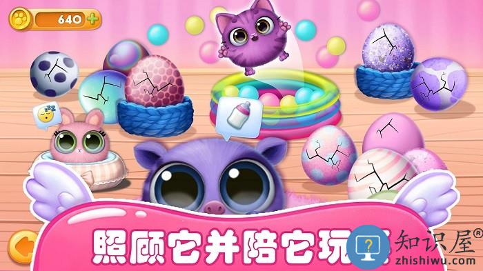 梦幻宠物总动员游戏下载v1.0 安卓版