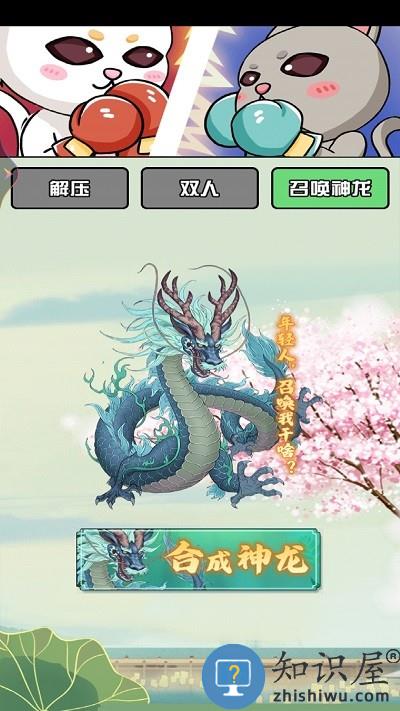 双人对决赛游戏下载v1.00 安卓版