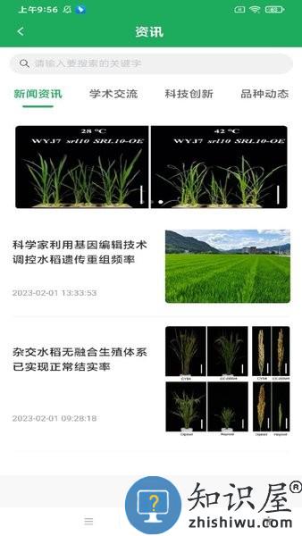 知稻 v1.0.25 安卓版
