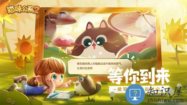 猫咪公寓2测试版下载v3.12.60 安卓最新版