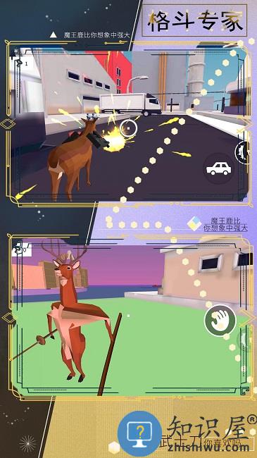 疯狂动物冒险游戏下载v1.0 安卓版