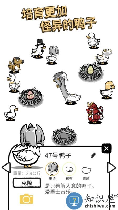 鸭星人游戏下载v1.0.0 安卓版