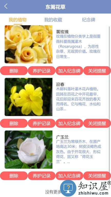 东篱花草软件