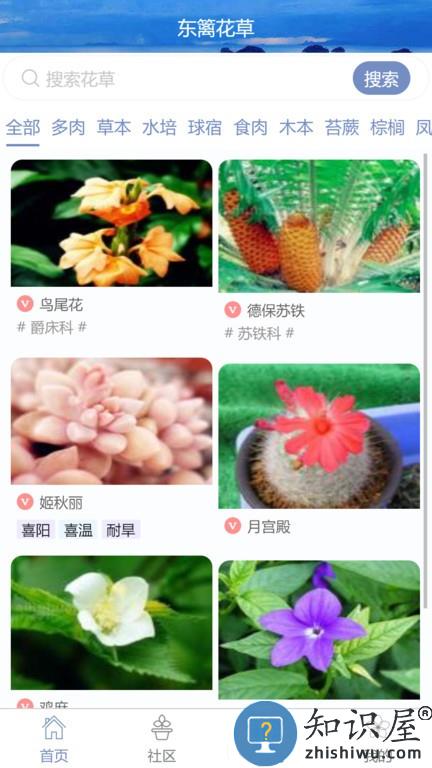 东篱花草 v2.0.3 安卓版