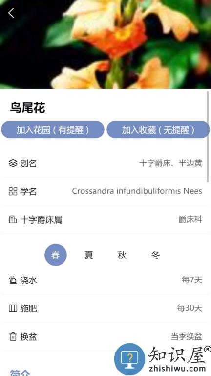 东篱花草 v2.0.3 安卓版