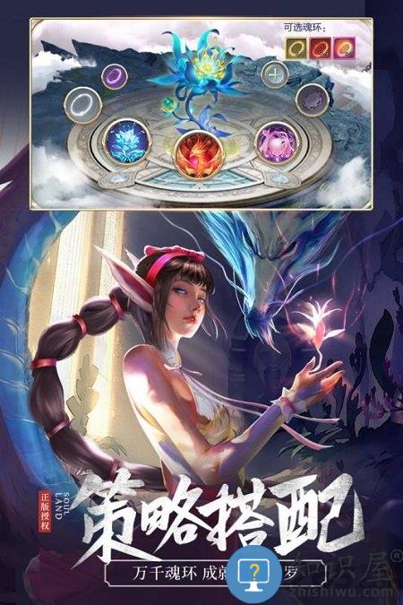 斗罗大陆极光网络官方版下载v9.5.1 安卓版