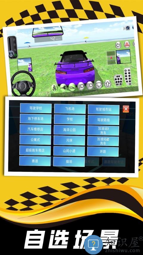 现实司机模拟器游戏下载v1.0 安卓版