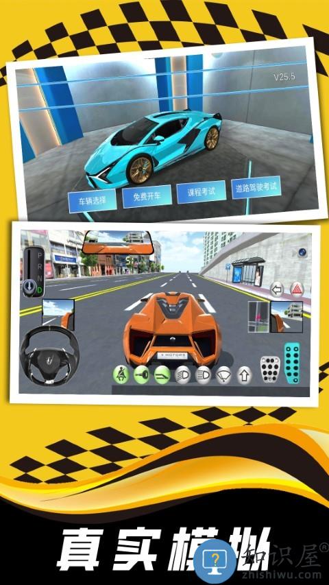 现实司机模拟器游戏下载v1.0 安卓版