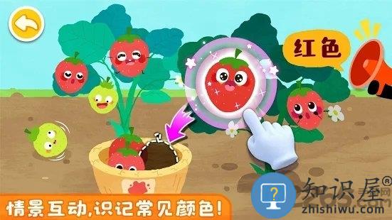 宝宝颜色涂画游戏下载v8.46.00.00 安卓版