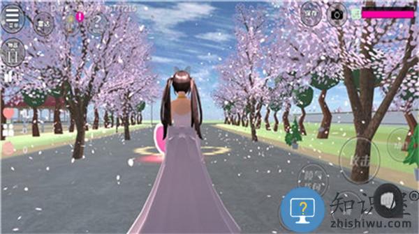 拯救公主樱花战斗青春下载v1.0 安卓版