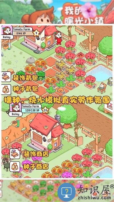 我的曙光小镇最新版下载v1.0 安卓版