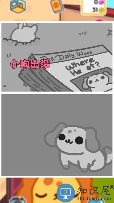 我的小奶狗下载