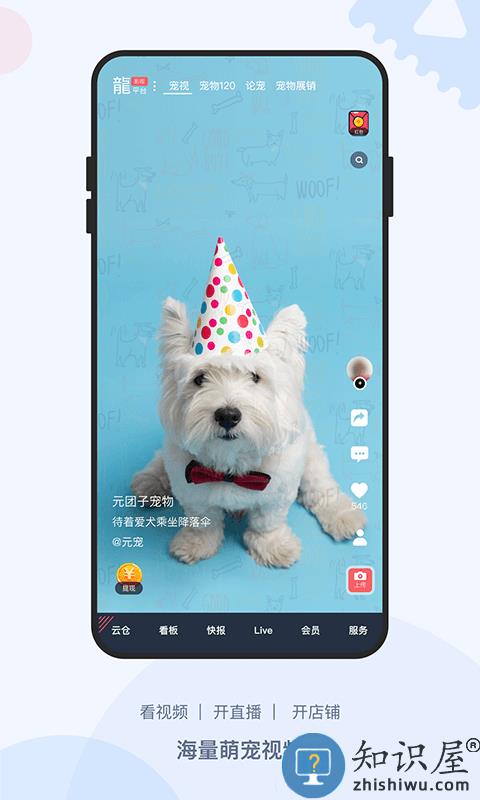 龙平台影视官方版下载v4.1.6 安卓版