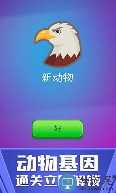 非常普通的动物游戏下载v1.0.9 安卓版