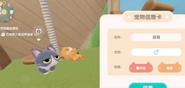 心动小镇怎么领养猫 领养猫方法介绍