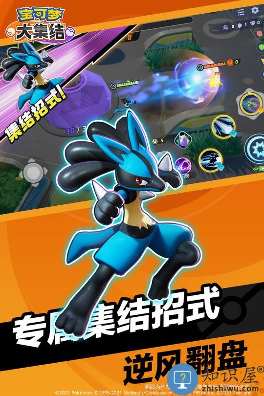 宝可梦大集结下载最新测试版