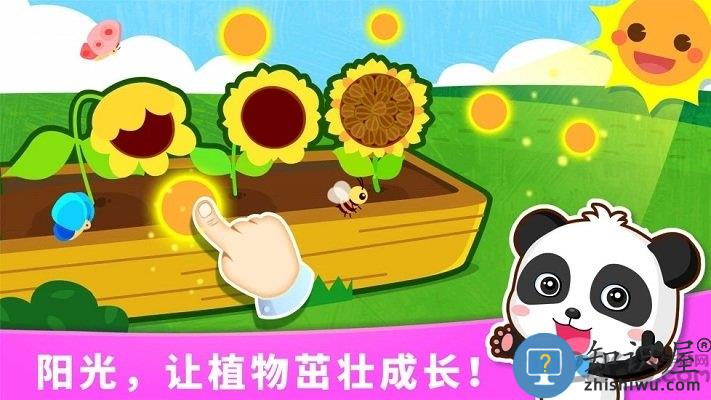宝宝天气认知宝宝巴士最新版下载v9.87.00.00 安卓版