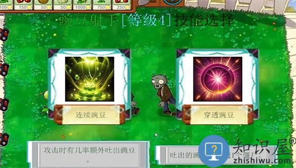 植物大战僵尸指导版2.0最新版