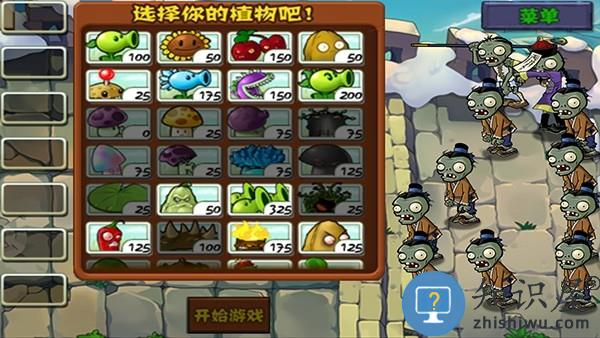 植物大战僵尸中国馆手机版随机植物下载v2024.05.01 安卓中国版