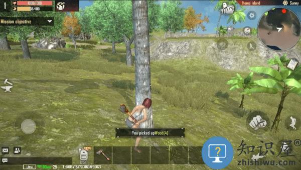 代号岛屿国际服(Project: Island)下载v1.1.16 安卓版