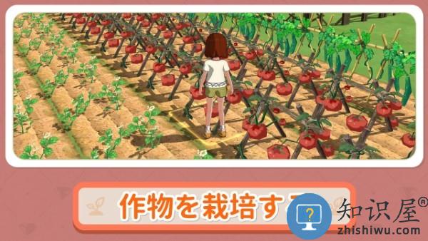 小森生活日服版正版官方安装下载v2.0.12 安卓版