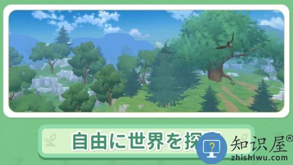 小森生活日服版正版官方安装下载v2.0.12 安卓版