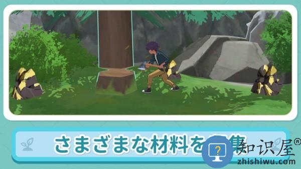 小森生活日服版正版官方安装下载v2.0.12 安卓版