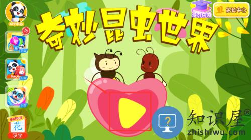 奇妙昆虫世界小游戏官方版