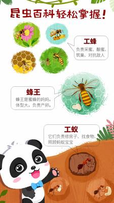 奇妙昆虫世界小游戏官方版下载v9.88.00.00 安卓版