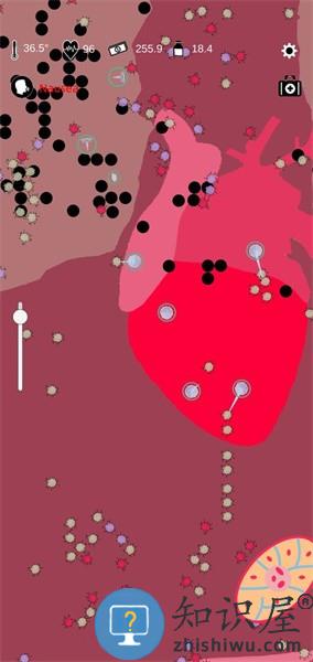 免疫战争下载v1.0.4 最新版