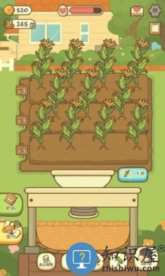 小鸡的爆米花店游戏(popcorn)下载v1.6.0 安卓版