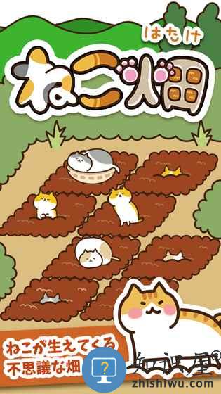 猫咪田园中文版下载v2.5.1 安卓版