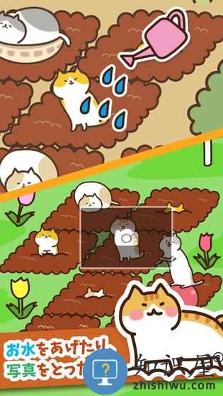 猫咪田园中文版下载v2.5.1 安卓版