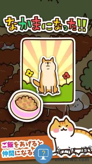 猫咪田园中文版下载v2.5.1 安卓版