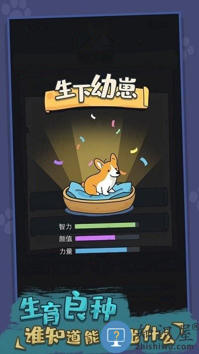 你好狗好喜欢最新版下载v1.0.12 安卓版