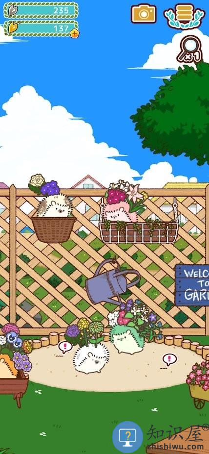 小花盆刺猬安卓版(hananezumi)下载v1.34.1 最新版