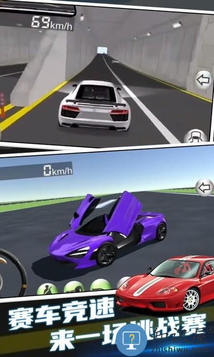 赛车驾驶模拟器免费版下载v1.0.1 安卓版