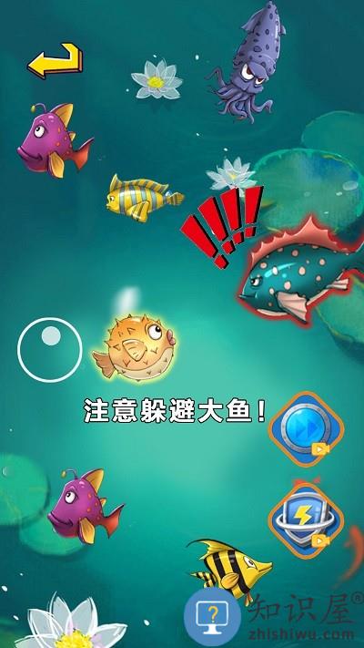 经典大鱼吃小鱼单机游戏下载v1.4 安卓版