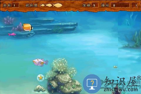 大鱼吃小鱼疯狂的鱼官方版下载v1.4 安卓版