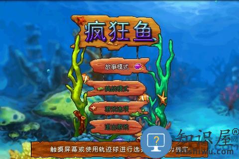 大鱼吃小鱼疯狂的鱼官方版下载v1.4 安卓版