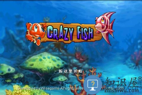 大鱼吃小鱼疯狂的鱼官方版下载v1.4 安卓版