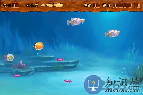 大鱼吃小鱼疯狂的鱼官方版下载v1.4 安卓版