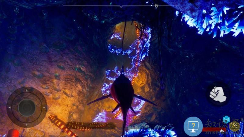 饥饿鲨吞噬进化游戏下载v6.4.30 安卓版