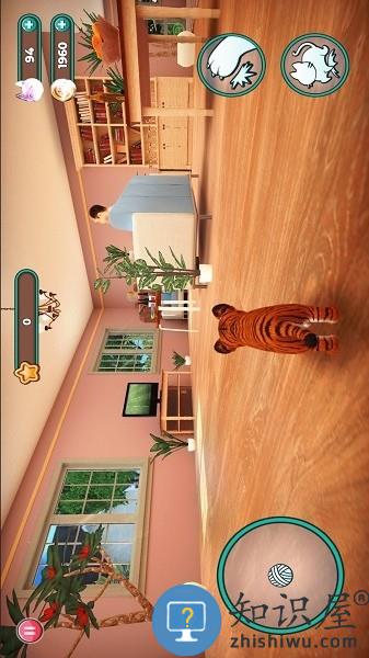 猫咪模拟器2游戏(Cat Simulator 2)下载v1.1.4 安卓完整版