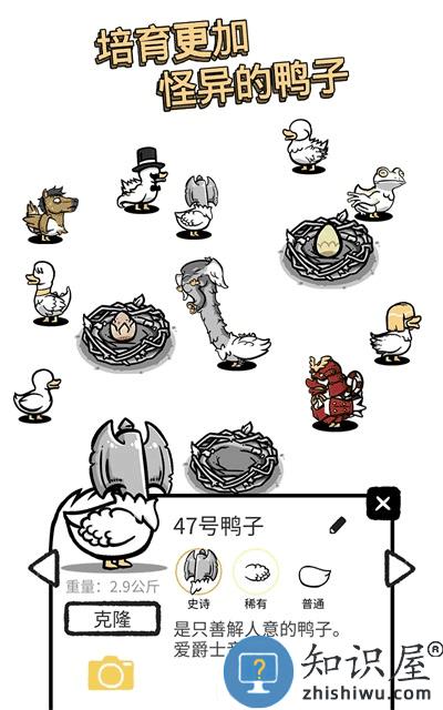 怪鸭世界下载v2.2 安卓版