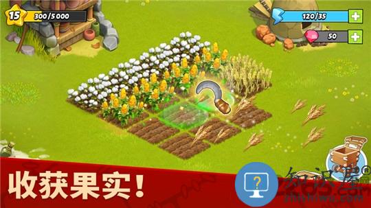 家庭岛2022最新破解版下载v2025175.1.81944 安卓免谷歌版