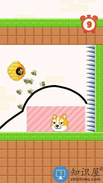 闯关大比拼救救小狗下载v1.2.2 安卓版