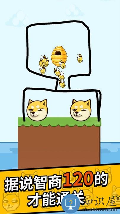 神奇大画家救救小狗游戏下载v1.2.2 安卓版