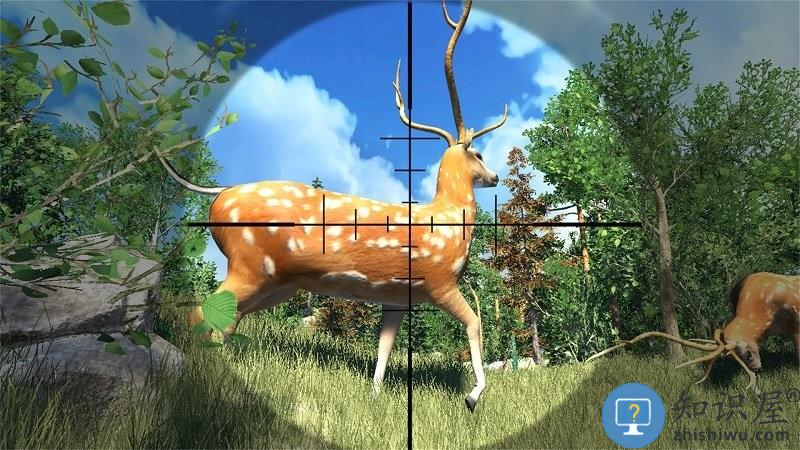 荒野狩猎模拟器游戏下载v1.2.0 安卓版